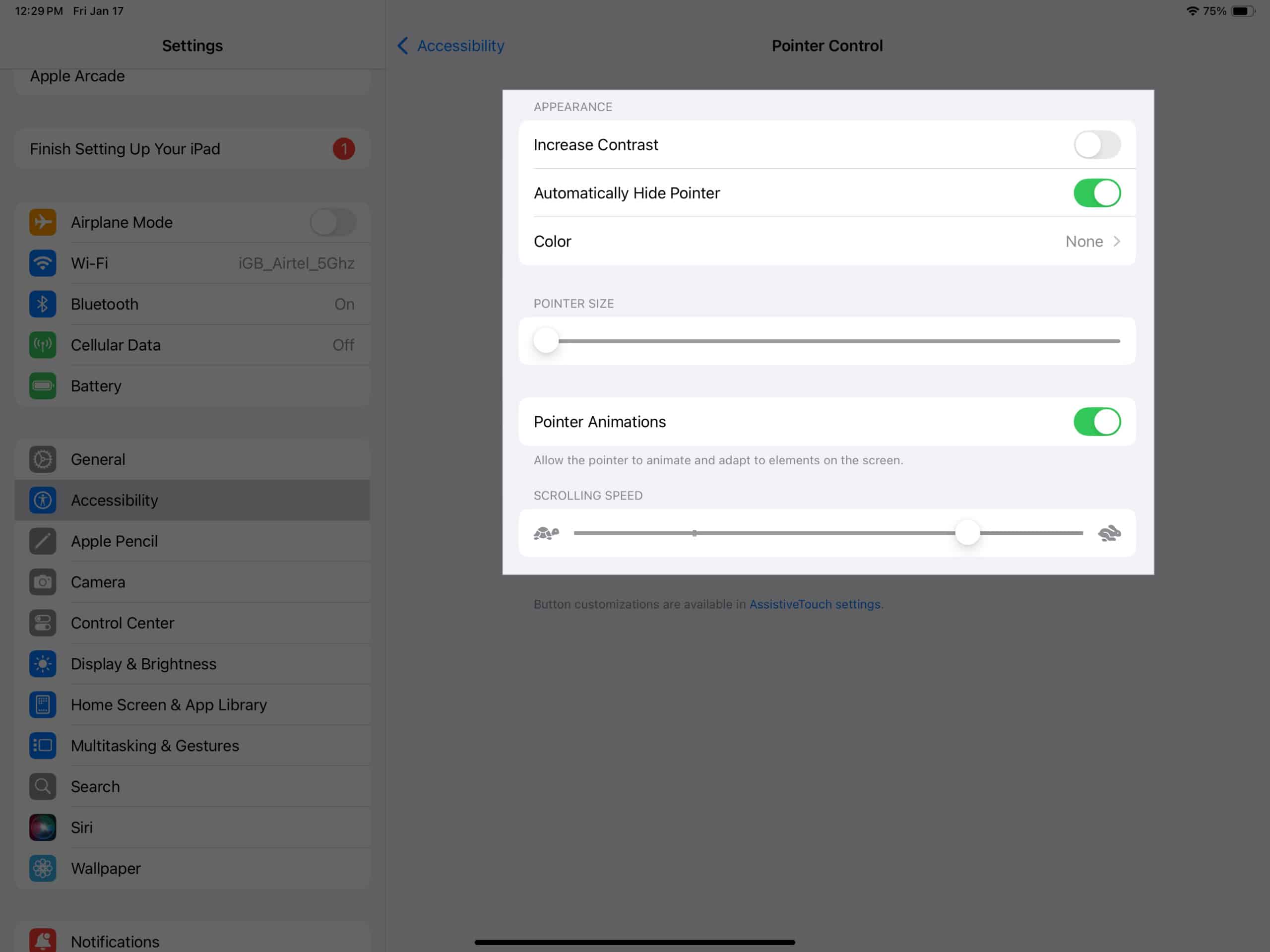 Customizing Pointer Control settings on an iPad