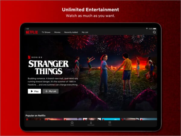 Netflix most favorite iPad app for binging