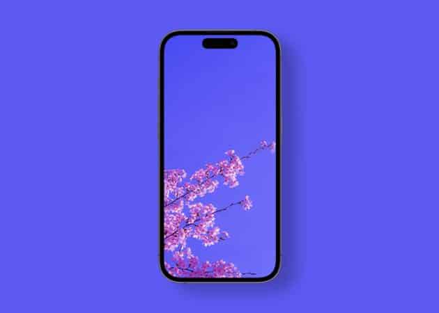 Pink cherry blossom on spring wallpaper