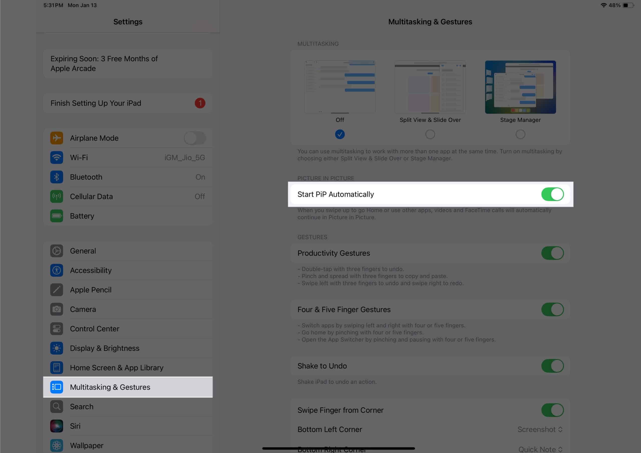 Toggling on the Start PiP Automatically option from Multitasking Gestures settings on an iPad